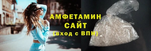 индика Медвежьегорск