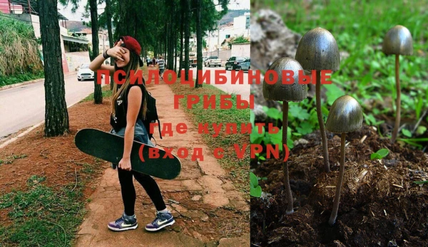 mdpv Абаза