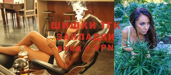индика Медвежьегорск