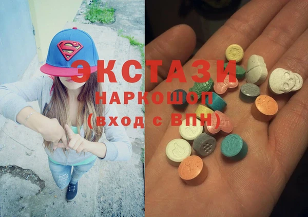 индика Медвежьегорск