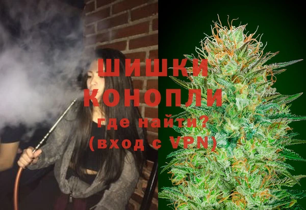 индика Медвежьегорск