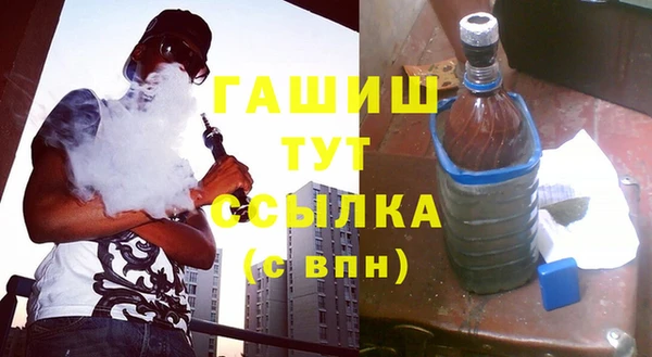 индика Медвежьегорск