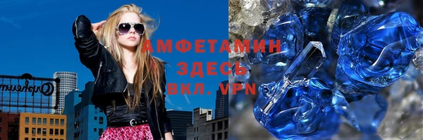 индика Медвежьегорск